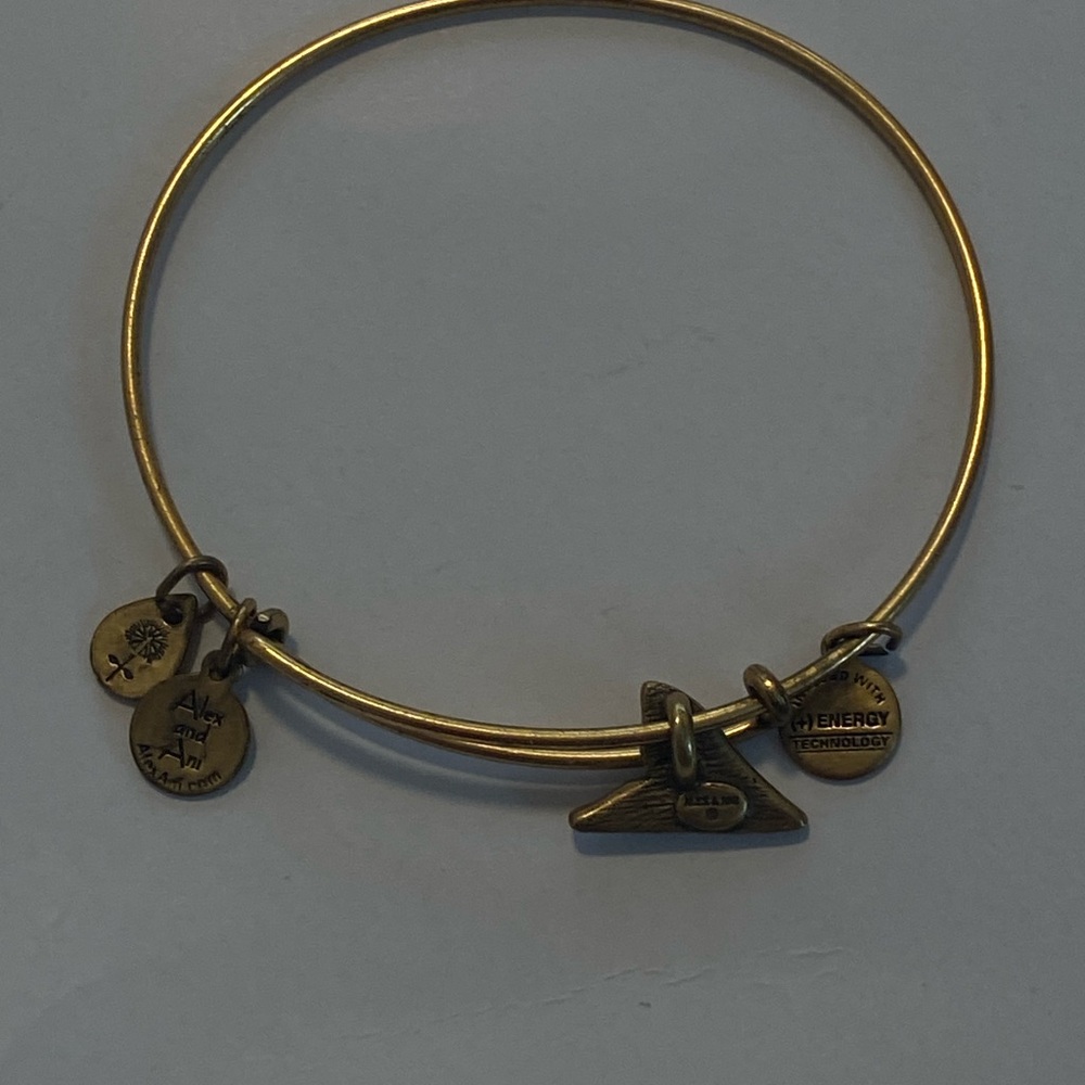 Alex and Ani Gold Charm Bracelet